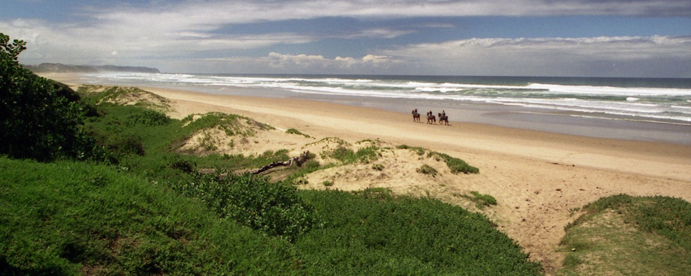 Horse riders on Wilderness Beach